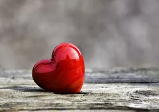 Заварушка в сердце