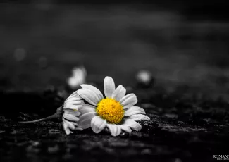 Здравствуй, это я...