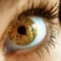 Капризная Леди